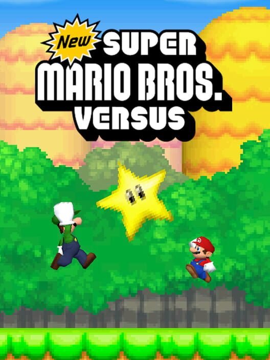 NSMB: Mario vs. Luigi Online