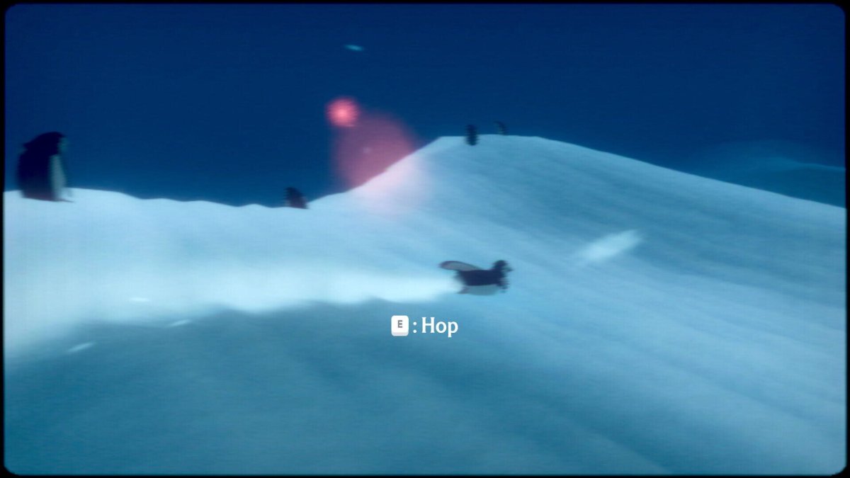 Penguin Colony