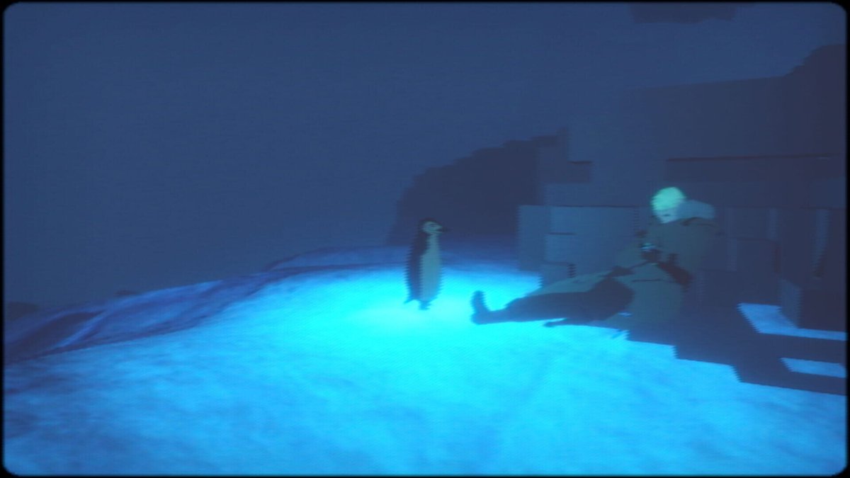 Penguin Colony