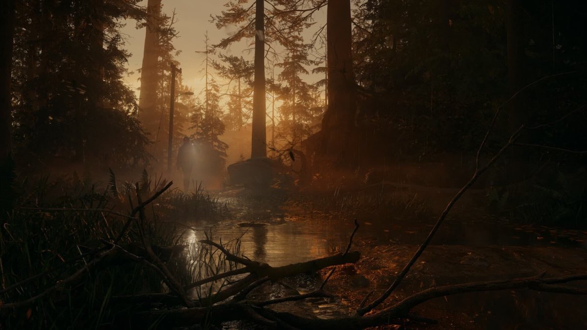 Alan Wake 2 - gameplay