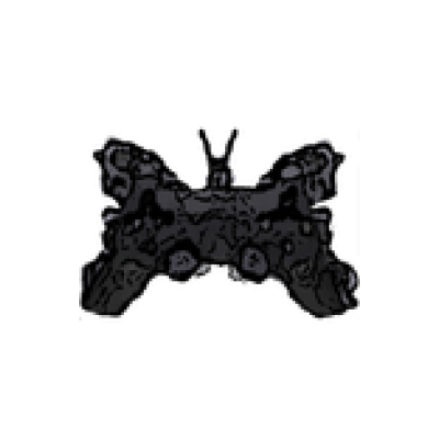 Metamorphosis Games