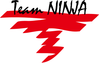 Team NINJA